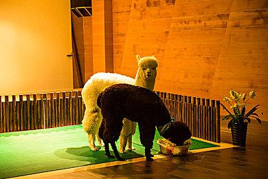 《生化危机9》首发登陆Switch 2平台